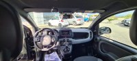 FIAT Panda Ibrida 1.0 FireFly S&S Hybrid Sport Usata in provincia di Cosenza - SHOWROOM MERCEDES-BENZ img-14