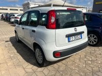 Auto Fiat Panda 1.2 Easy Usate A Sassari