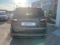 Ford EcoSport Benzina 1.0 EcoBoost 125 CV Start&Stop ST-Line Usata in provincia di Livorno - Scotti & Baroncini Livorno img-3