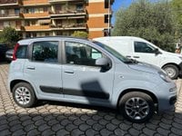 Auto Fiat Panda 1.2 Lounge Usate A Firenze