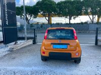 FIAT Panda Ibrida 3ª serie 1.0 FireFly S&S Hybrid City Life Usata in provincia di Massa-Carrara - MASSA img-4