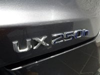 Lexus UX Ibrida Hybrid 4WD F Sport Usata in provincia di Vicenza - Concessionario Giuriatti Futuro - Lexus Vicenza img-36