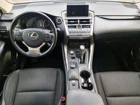 Lexus NX Ibrida Hybrid 4WD Executive Usata in provincia di Modena - LEXUS MODENA - GRUPPO M - Via Emilia Est  1471  img-8