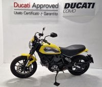 Moto Ducati Scrambler Scrambler 800 Icon Usate A Como