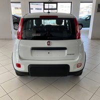 Auto Fiat Panda 1.0 Firefly S&S Hybrid Usate A Potenza