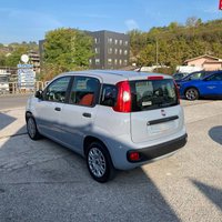 Auto Fiat Panda 1.2 Easy Usate A Potenza