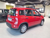 Auto Fiat Panda 1.0 Firefly Hybrid S&S 70Cv Km0 A Belluno