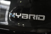 FIAT Tipo Ibrida 1.5 Hybrid DCT 5 porte #KM0 Km 0 in provincia di Napoli - Autoshopping S.R.L. img-16
