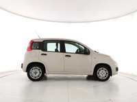 Auto Fiat Panda 1.2 Easy Usate A Napoli