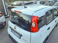 FIAT Panda Ibrida 1.0 FireFly S&S Hybrid City Life Usata in provincia di Roma - Autocentro Olgiata img-12