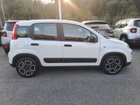 FIAT Panda Ibrida 1.0 FireFly S&S Hybrid City Life Usata in provincia di Roma - Autocentro Olgiata img-10