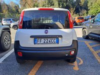 Fiat Professional Panda Van Diesel 1.3 MJT S&S Pop Van 2 posti Usata in provincia di Roma - Autocentro Olgiata img-4