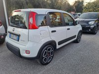 FIAT Panda Ibrida 1.0 FireFly S&S Hybrid City Life Usata in provincia di Roma - Autocentro Olgiata img-9