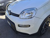 FIAT Panda Ibrida 1.0 FireFly S&S Hybrid City Life Usata in provincia di Roma - Autocentro Olgiata img-4