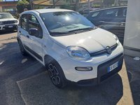FIAT Panda Ibrida 1.0 FireFly S&S Hybrid City Life Usata in provincia di Roma - Autocentro Olgiata img-2