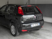 Auto Fiat Punto Punto 1.2 8V 5 Porte Lounge Usate A Prato