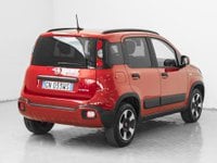 Auto Fiat Panda Cross 1.0 Firefly S&S Hybrid Usate A Prato