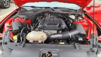 Ford Mustang Benzina Fastback 2.3 Ecoboost Usata in provincia di Padova - Rino Berton Srl img-24