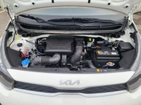 KIA Picanto Benzina 1.0 12V 5 porte AMT Urban Usata in provincia di Padova - Rino Berton Srl img-23