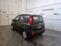 Auto Fiat Panda Panda 1.2 Easypower Pop Da 71,00 Al Mese Usate A Napoli