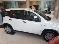 Auto Fiat Panda 1.0 Firefly Hybrid Con Radio Bt, Ok Neopatentati Km0 A Brescia