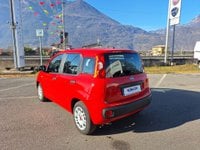 Auto Fiat Panda 1.0 Firefly 70Cv Hybrid Usate A Brescia