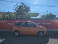 Auto Usate A Roma | Fiat Panda Panda 1.0 Firefly S&S Hybrid