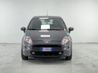 FIAT Punto Benzina 5p 1.2 Lounge 69CV Usata in provincia di Torino - Autovip - Via degli Alpini, 2 (Chivasso) img-2