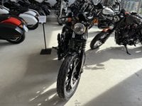 Harley-Davidson Sportster 883 Benzina IRON 883 Usata in provincia di Torino - American Clan - Via Cigna, 116 (Torino) img-1