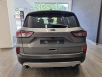 Auto Ford Kuga 1.5 Ecoblue 120 Cv 2Wd Titanium Business Usate A Ancona