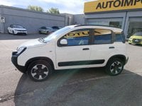Auto Fiat Panda Cross 1.0 Firefly S&S Hybrid Usate A Roma
