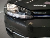 Volkswagen Golf Benzina 1.5 TSI 130 CV EVO DSG 5p. Executive BlueMotion Tech. Usata in provincia di Bologna - Autocommerciale Spa img-7