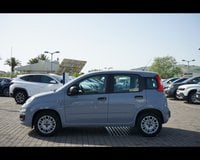 Auto Fiat Panda 3ª Serie 1.2 Easy Usate A Teramo