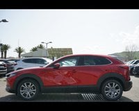 Auto Mazda Cx-30 2.0L E-Skyactiv-G 150 Cv M Hybrid 2Wd Exclusive Line Usate A Teramo