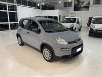 Auto Fiat Panda Panda Hybrid 1.0 70 Cv Usate A Frosinone