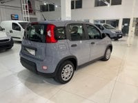 Auto Fiat Panda Panda Hybrid 1.0 70 Cv Usate A Frosinone