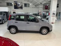 Auto Fiat Panda New My21 1.0 70Cv Hybrid Panda Usate A Frosinone