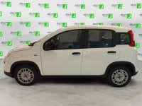 Auto Fiat Panda 1.0 Firefly S&S Hybrid Km0 A Frosinone