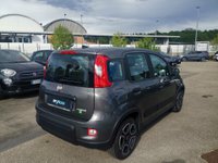 Auto Fiat Panda Iii 2021 1.0 Firefly Hybrid City Life S&S 70Cv 5P.ti Usate A Frosinone