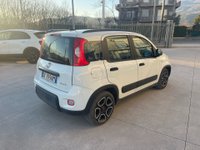 Auto Fiat Panda Panda Hybrid City Life 1.0 70 Cv Usate A Frosinone