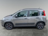 Auto Fiat Panda 3ª Serie 1.0 Firefly S&S Hybrid City Life Usate A Bolzano