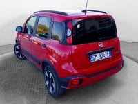 Auto Usate A Salerno | Fiat Panda 1.0 70Cv Hybrid Cross