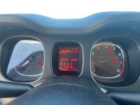 Auto Usate A Avellino | Fiat Panda My24 1.0 70Cv Hybrid Panda