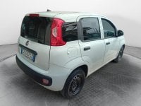 Auto Usate A Salerno | Fiat Professional Panda Van Van 1.0 Hybrid Pop 70Cv 2Posti Serie 4 E6D