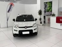 Auto Usate A Avellino | Fiat Panda 1.0 70Cv Hybrid Panda