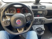 Auto Usate A Avellino | Fiat Panda 0.9 Twinair Turbo 85Cv S&Amp;S 4X4 Wild