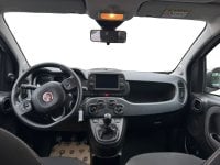 Auto Usate A Salerno | Fiat Panda 1.0 70Cv Hybrid Cross