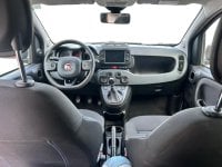 Auto Usate A Salerno | Fiat Panda 1.0 70Cv Hybrid Cross