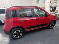 Auto Usate A Avellino | Fiat Panda 1.0 70Cv Hybrid Cross