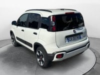 Auto Usate A Avellino | Fiat Panda 1.0 70Cv Hybrid Cross